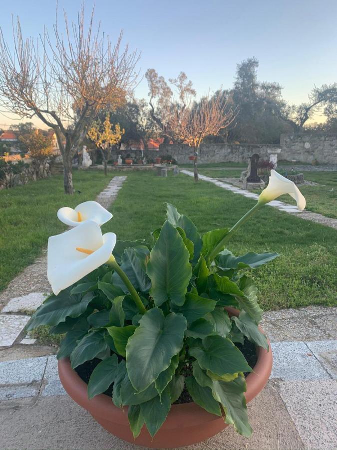 Villa Entre Encinas Moralina المظهر الخارجي الصورة